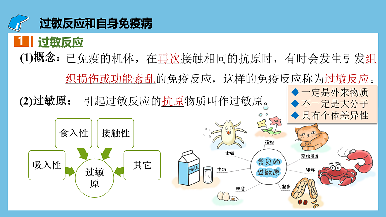人教版高二生物选择性必修一 4.3 《免疫失调》课件第6页