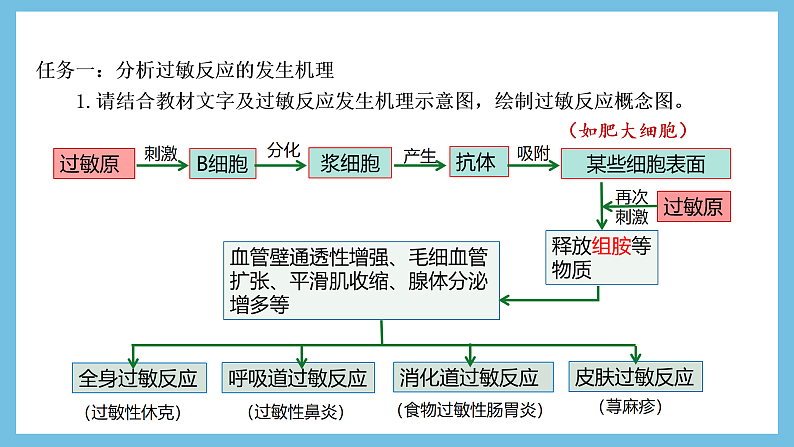 人教版高二生物选择性必修一 4.3 《免疫失调》课件第7页