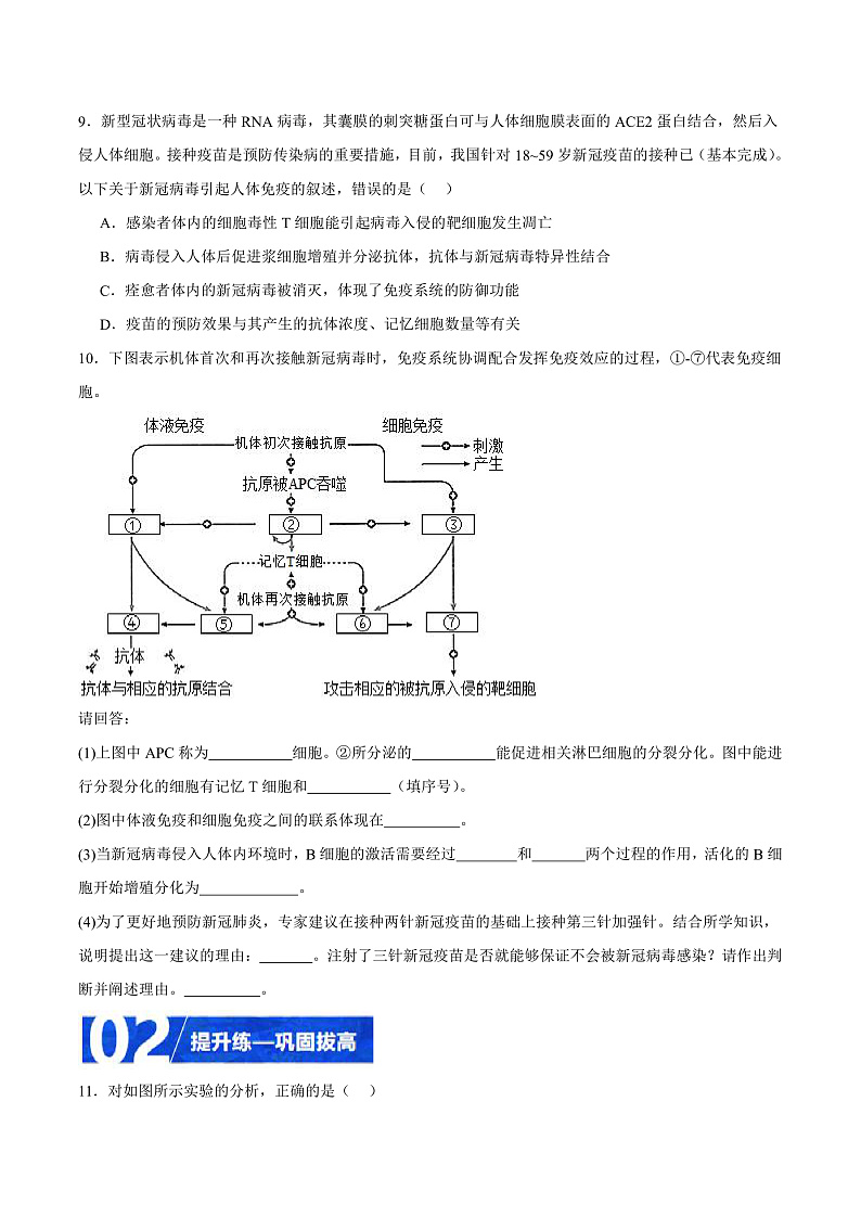 人教版高二生物选择性必修一 4.4 《免疫学的应用》分层练习(原卷版)第3页