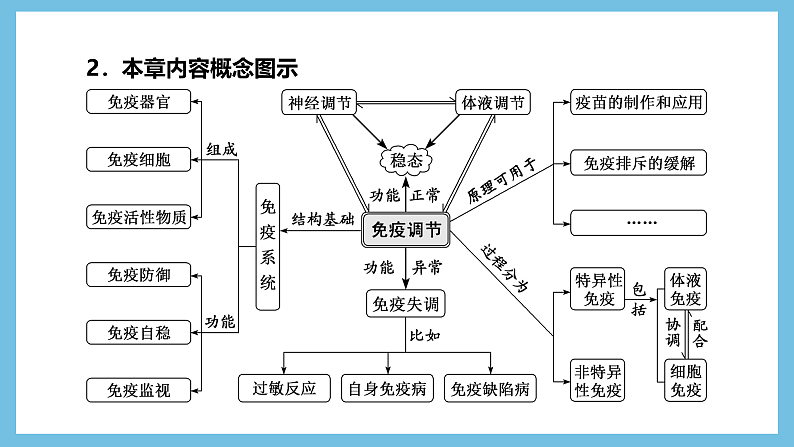 人教版高二生物选择性必修一 第4章 《免疫调节》复习课件第4页