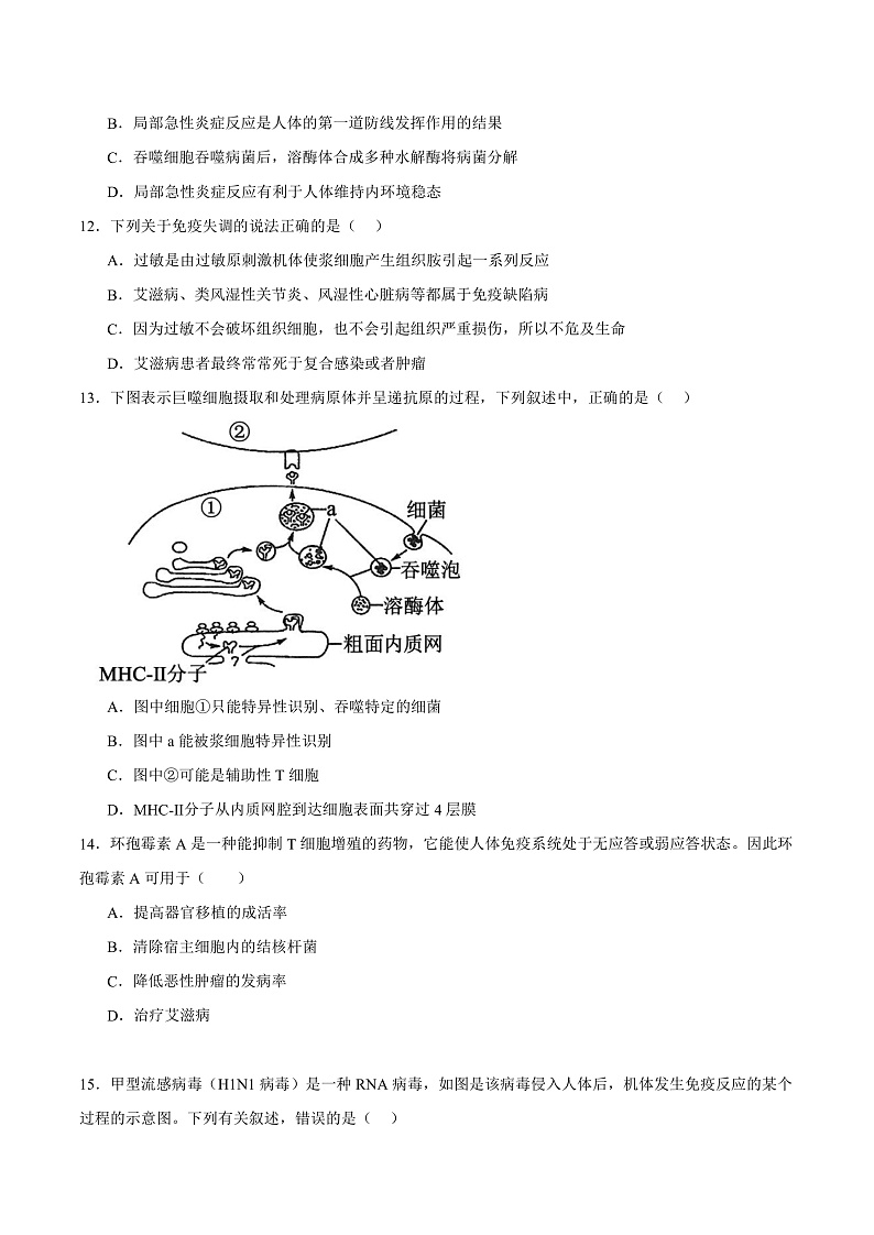 人教版高二生物选择性必修一 第4章 《免疫调节》分层练习(原卷版)第3页