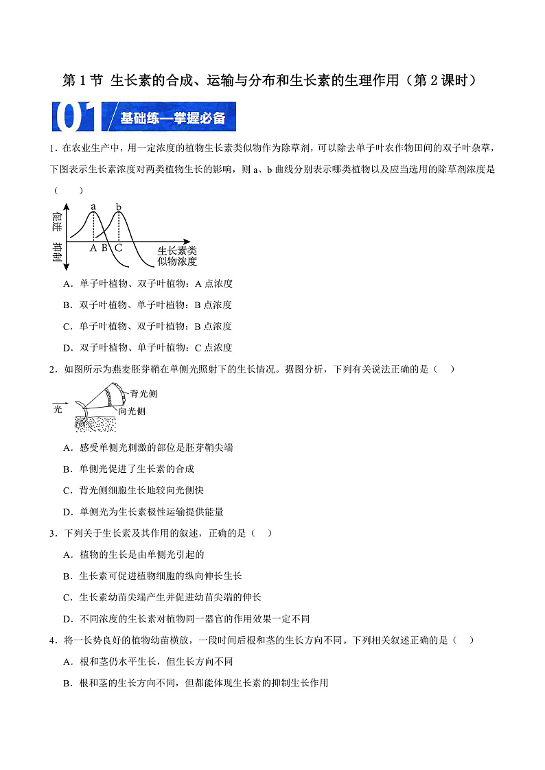 人教版高二生物选择性必修一 5.1.2 《生长素的合成、运输与分布和生长素的生理作用》分层练习(原卷+解析卷)01