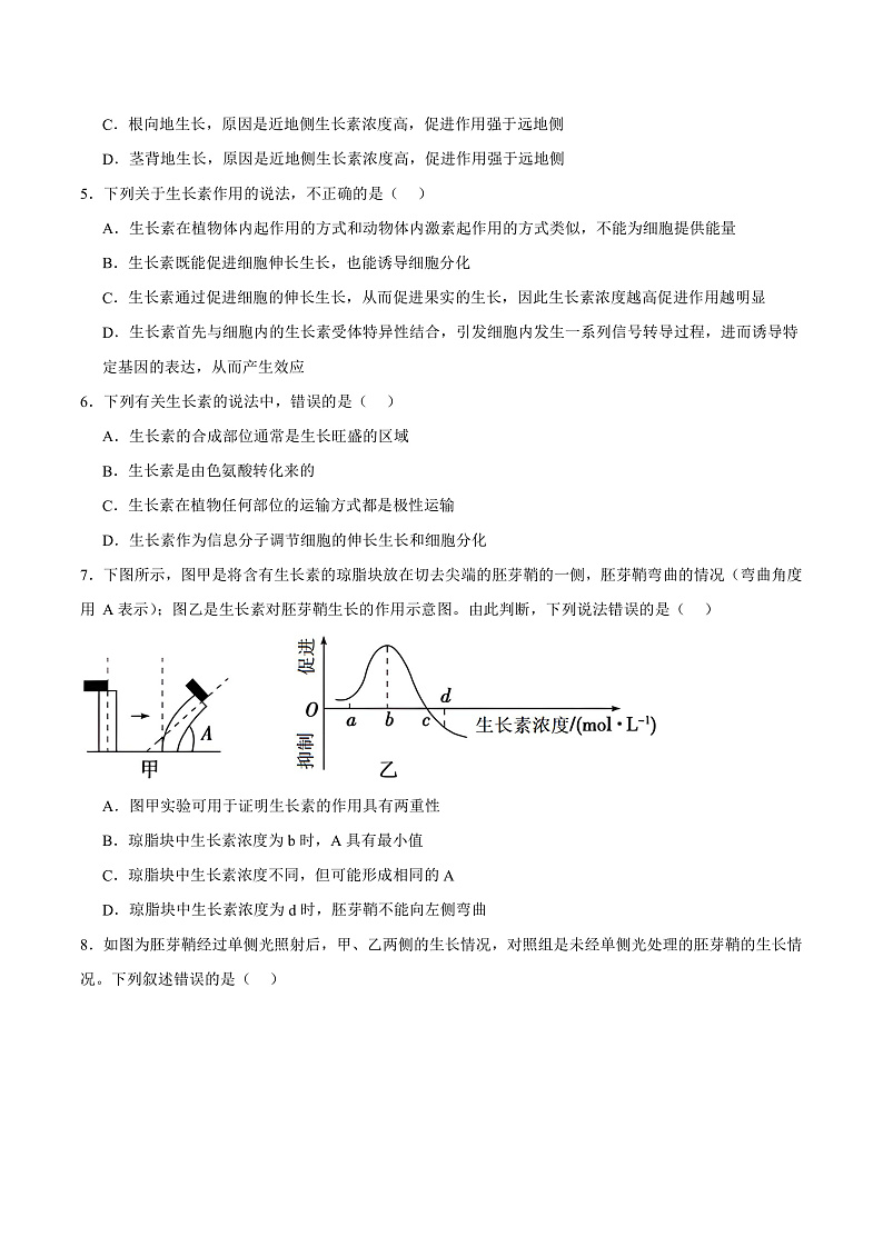 人教版高二生物选择性必修一 5.1.2 《生长素的合成、运输与分布和生长素的生理作用》分层练习(原卷+解析卷)02