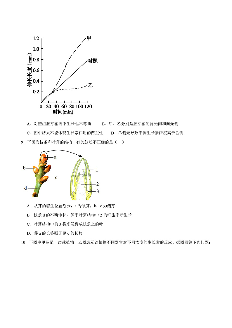 人教版高二生物选择性必修一 5.1.2 《生长素的合成、运输与分布和生长素的生理作用》分层练习(原卷+解析卷)03