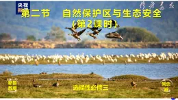 魯教版2019高二地理選擇性必修3 2.2自然保護(hù)區(qū)與生態(tài)安全（第2課時） 課件