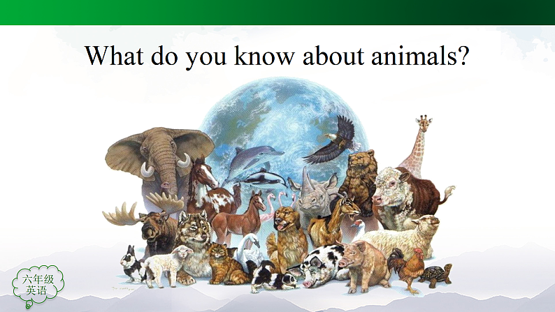 人教版(新起点)小学英语六年级上册 Revision 2 Interesting Facts About Animals 课件03