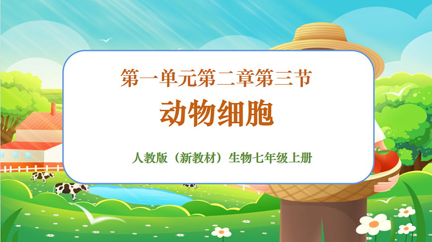 1.2.3動(dòng)物細(xì)胞課件第1頁(yè)