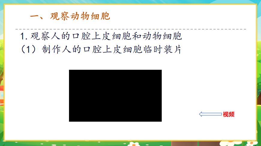 1.2.3動(dòng)物細(xì)胞課件第3頁(yè)