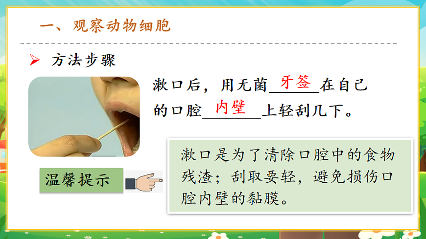 1.2.3動(dòng)物細(xì)胞課件第6頁(yè)