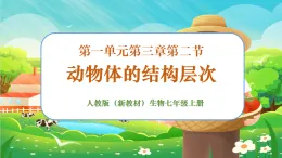 【新課標新教材】人教版生物七上1.3.2《動物體的結(jié)構(gòu)層次》課件+教案+習題（含答案）