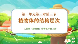 【新課標新教材】人教版生物七上1.3.3《植物體的結(jié)構(gòu)層次》課件+教案+習題（含答案）