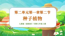 【新課標新教材】人教版生物七上2.1.2《種子植物》課件+教案+習題（含答案）