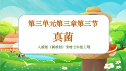 【新課標新教材】人教版生物七上2.3.3《真菌》課件+教案+習題 （含答案）