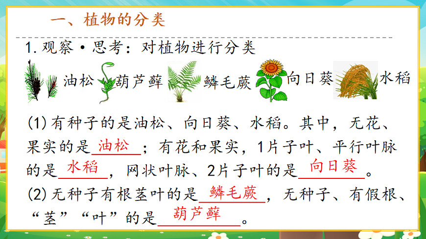 2.4.1嘗試對(duì)生物進(jìn)行分類課件第4頁(yè)