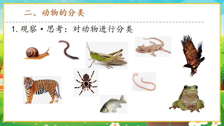 2.4.1嘗試對(duì)生物進(jìn)行分類課件第7頁(yè)
