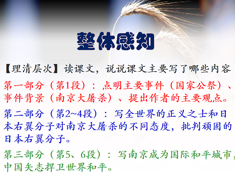16239643第6页