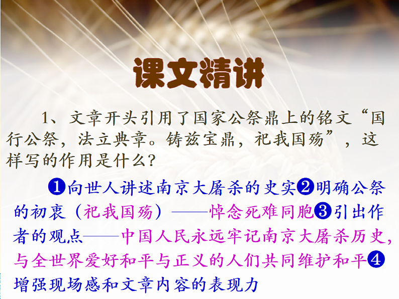 16239643第8页