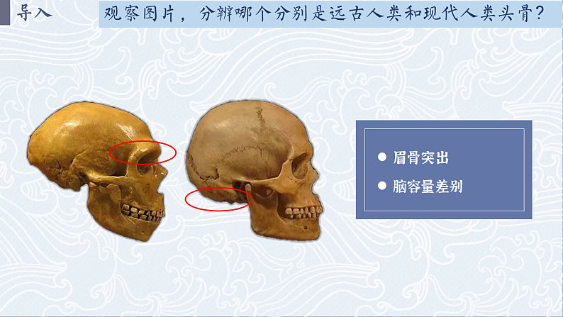 【特色课件】中职历史部编高教版2023中国历史第1课中华文明的起源与早期国家课件ppt第2页