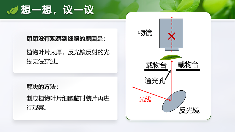 1.2.2 植物细胞-课件第3页