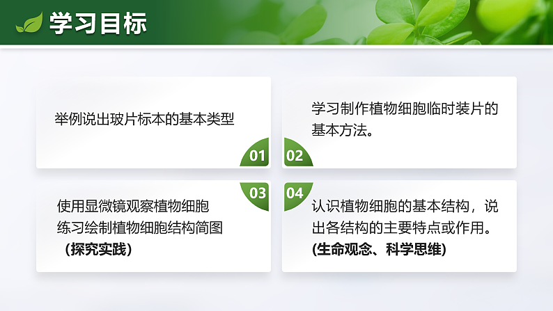 1.2.2 植物细胞-课件第4页