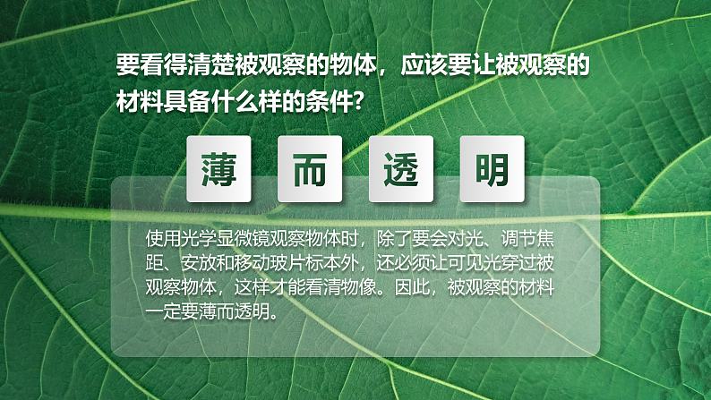1.2.2 植物细胞-课件第5页