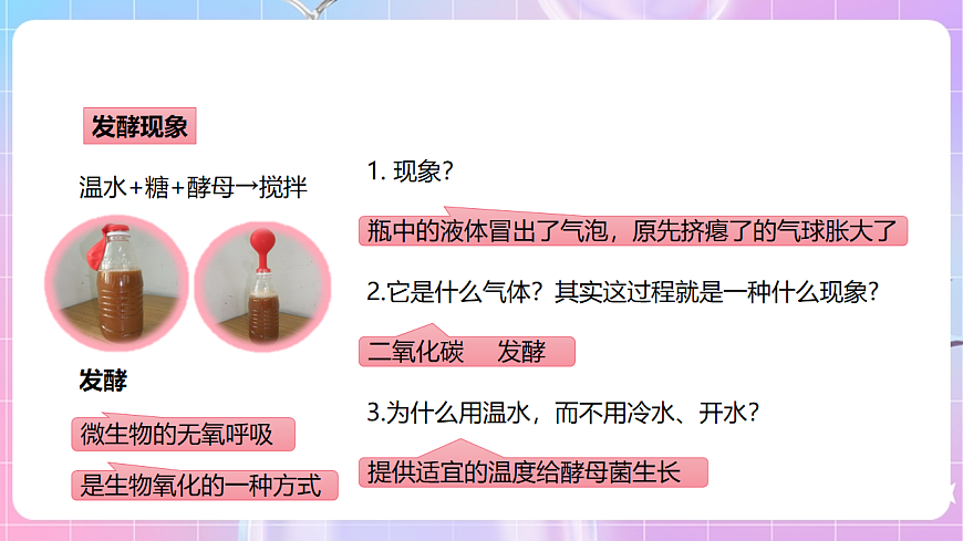 【新課標(biāo)】冀少版生物八上5.3.1《發(fā)酵食品的制作》課件第5頁