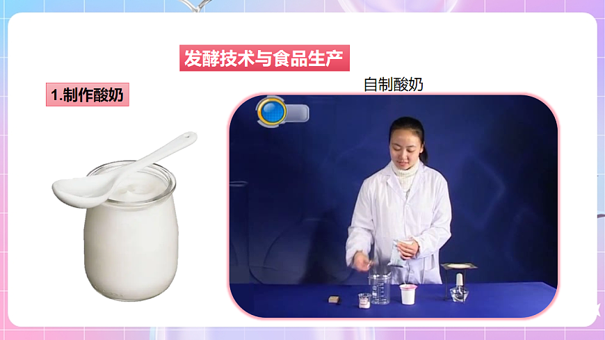 【新課標(biāo)】冀少版生物八上5.3.1《發(fā)酵食品的制作》課件第7頁