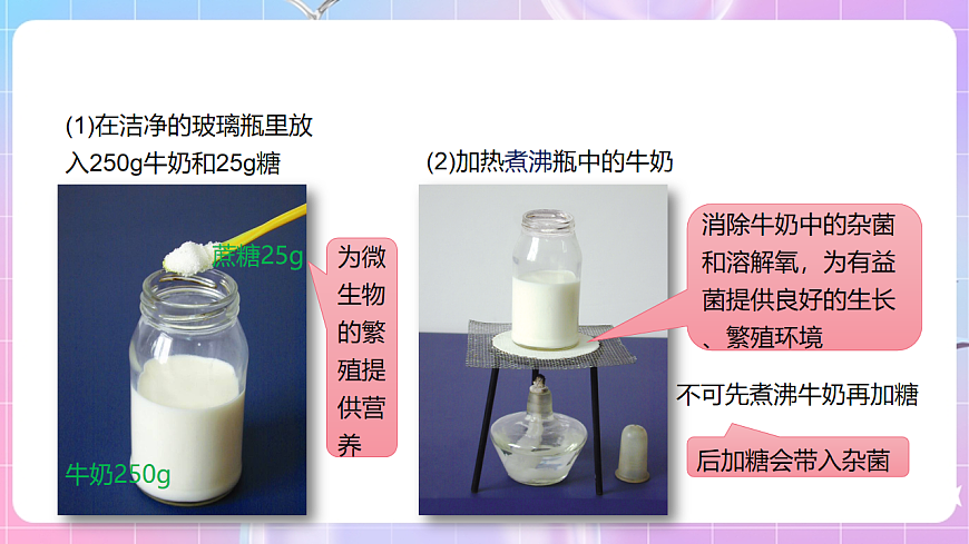 【新課標(biāo)】冀少版生物八上5.3.1《發(fā)酵食品的制作》課件第8頁