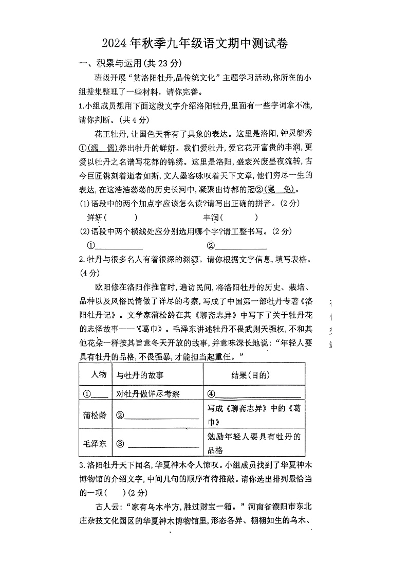 河南省驻马店市驿城区2024-2025学年九年级上学期11月期中语文试题第1页