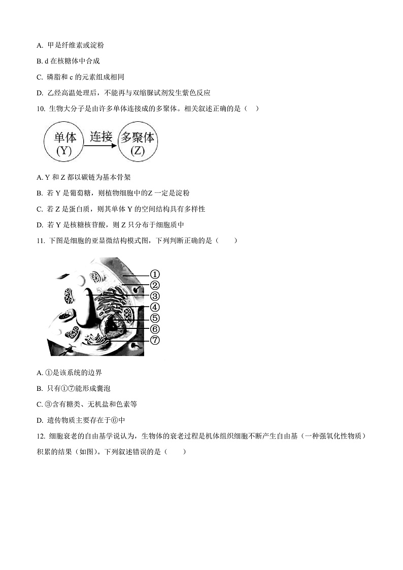 广东省三校“决胜高考,梦圆乙巳”2024-2025学年高三上学期第一次联合模拟考试生物试卷(Word版附解析)03