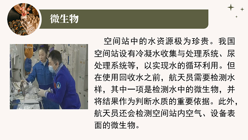 人教版生物七年级上册2.3.1《微生物的分布》课件03