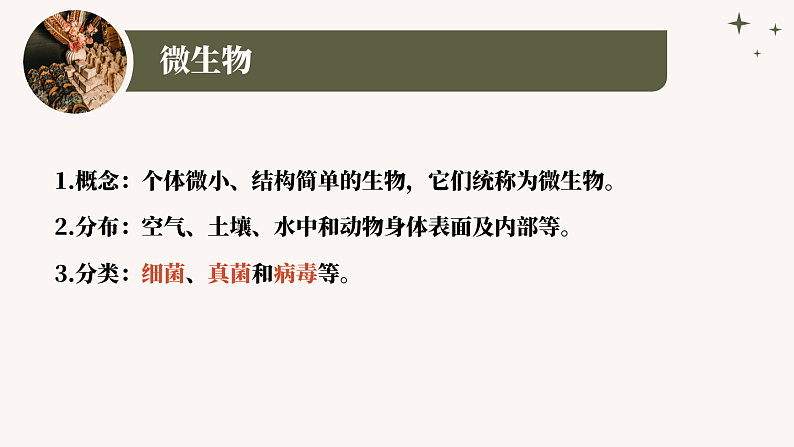 人教版生物七年级上册2.3.1《微生物的分布》课件04
