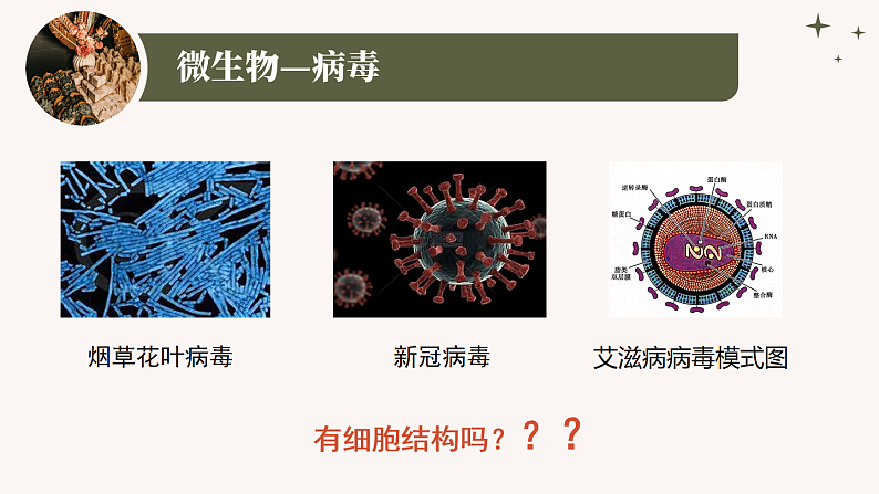 人教版生物七年级上册2.3.1《微生物的分布》课件07
