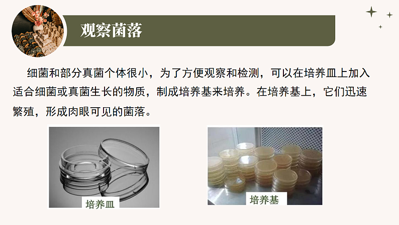 人教版生物七年级上册2.3.1《微生物的分布》课件08