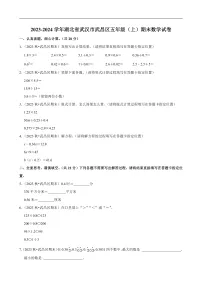 湖北省武汉市武昌区2023-2024学年五年级（上）期末数学试卷