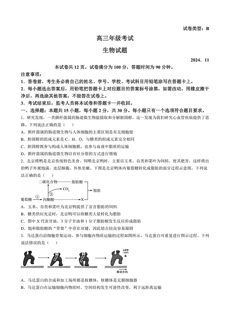 16472104第1页
