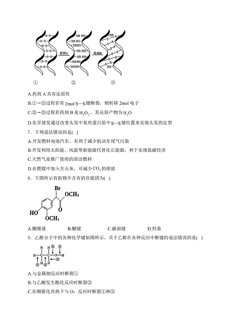 16472316第3页