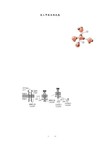 辽宁省实验中学2024-2025学年高三上学期期中考试 生物试题