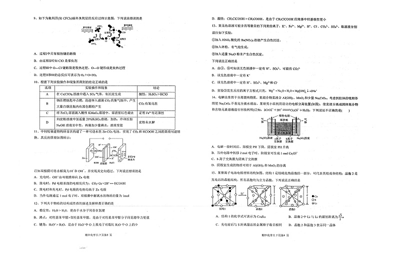 辽宁省实验中学2024-2025学年高三上学期期中考试 化学 PDF版含答案第2页