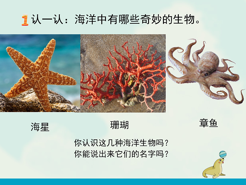 黔教版信息技术 五年级上册主题活动12《海底世界》教学课件第6页