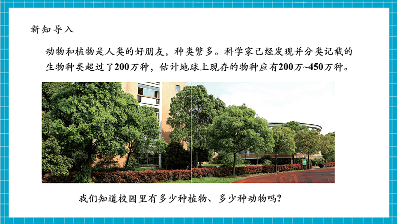 【大单元整体教学】2.1《校园生物大搜索》课时课件第6页