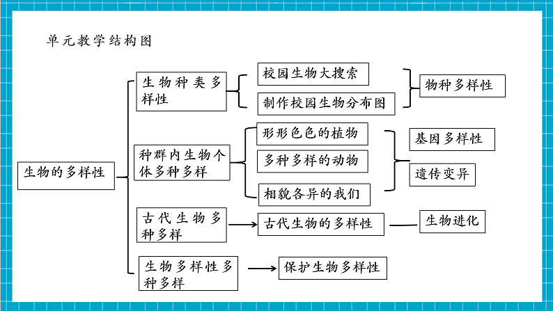 【大单元整体教学】2.6《古代生物的多样性》课时课件第4页