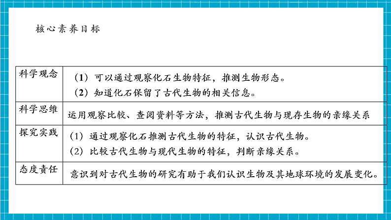 【大单元整体教学】2.6《古代生物的多样性》课时课件第5页