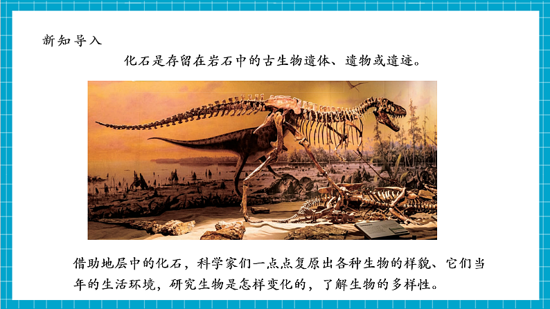 【大单元整体教学】2.6《古代生物的多样性》课时课件第7页