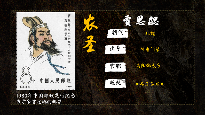 16502504第4页