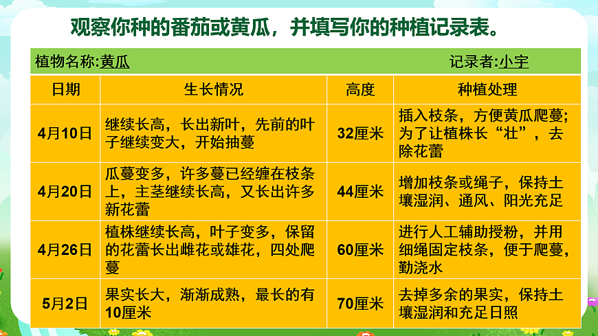 【核心素養(yǎng)】蘇教版（2017）科學(xué)三下 1.4《植物結(jié)果了》課件第8頁