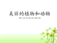 人教版（2024）美術(shù)一上第20課《美麗的植物和動物》教學(xué)課件2