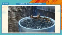 小学美术人教版(2024)一年级上册第4课 下雨啦课文课件ppt