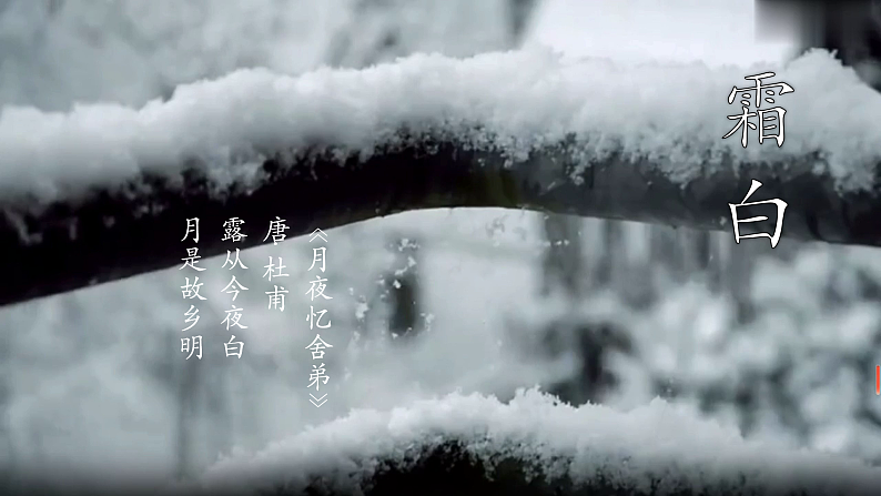 16505801第6页