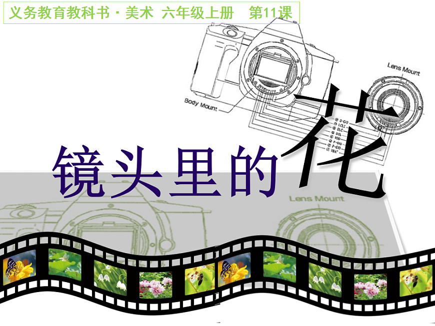 人美版（2024）美術(shù)六上第11課《鏡頭里的花》精品課件第1頁
